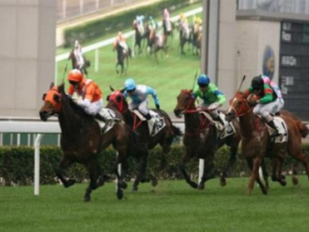 影像回放及仲裁系统