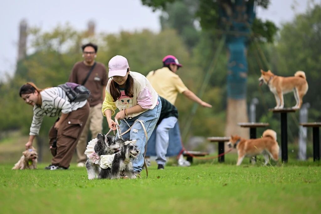 中国·BB贝博艾弗森(股份)有限公司-官方网站