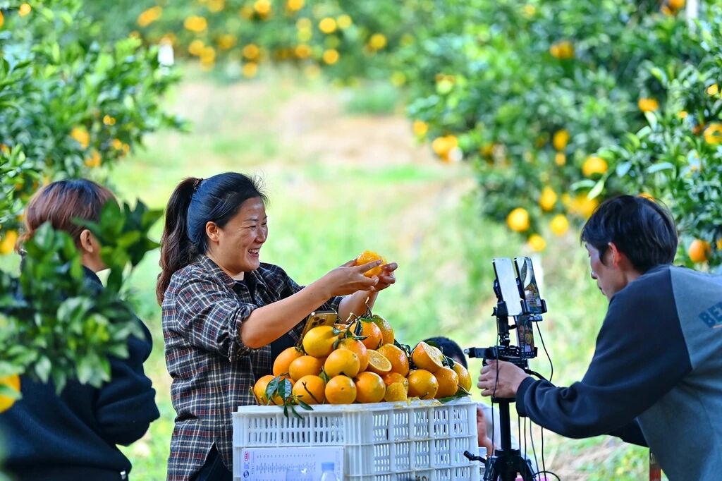 中国·BB贝博艾弗森(股份)有限公司-官方网站